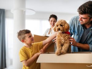 Protecting Your Furry Friends: The Ultimate Guide to Pet Insurance in Utah