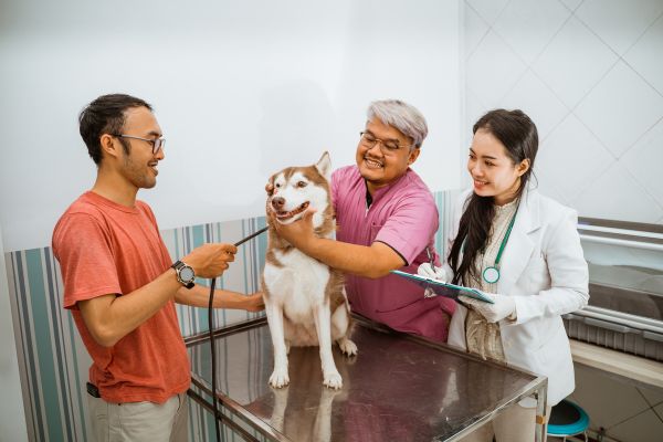 Best umbrella insurance policies