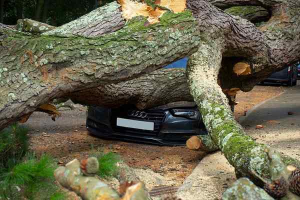 storm damage home insurance UK